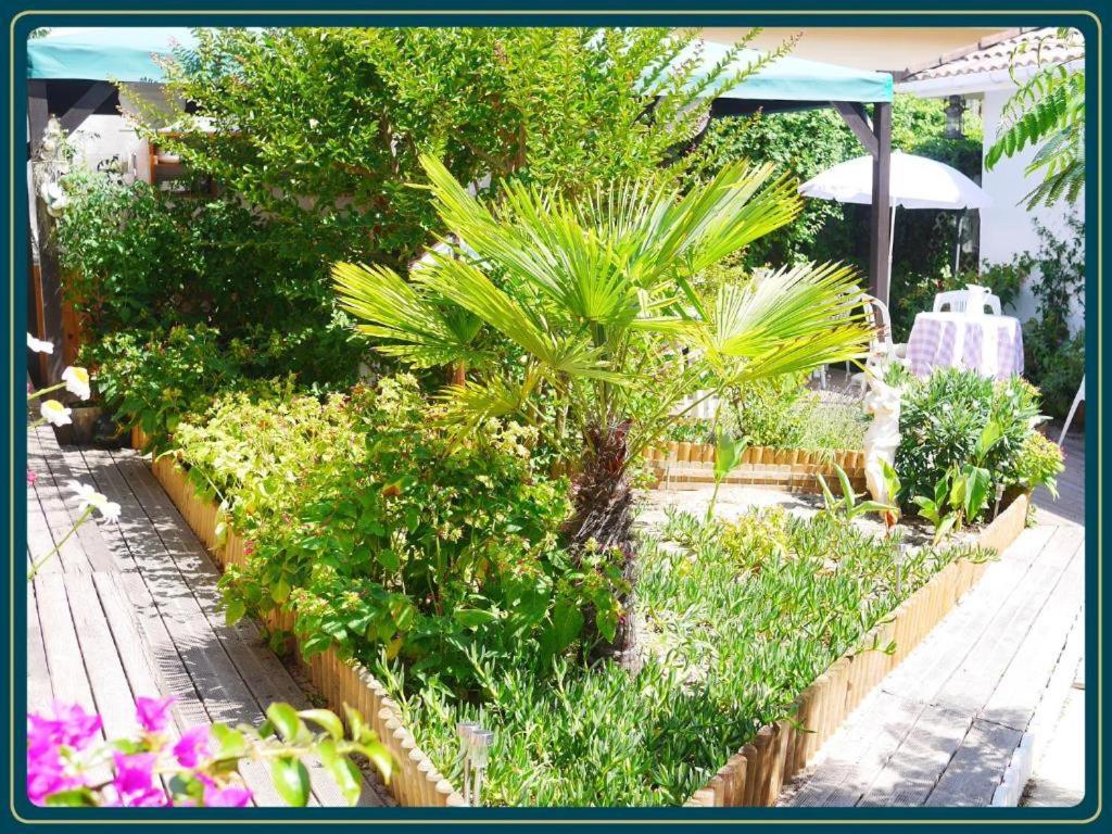 Les Embruns Apartment มีมีซ็อง-ปลาจ ภายนอก รูปภาพ