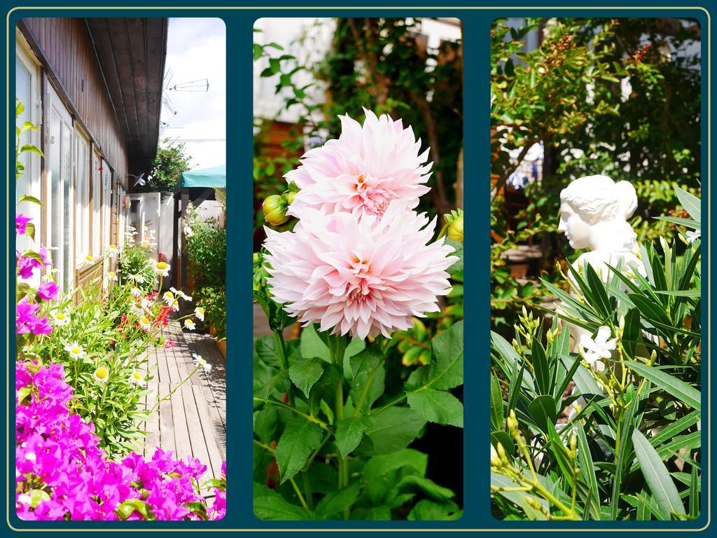 Les Embruns Apartment มีมีซ็อง-ปลาจ ห้อง รูปภาพ