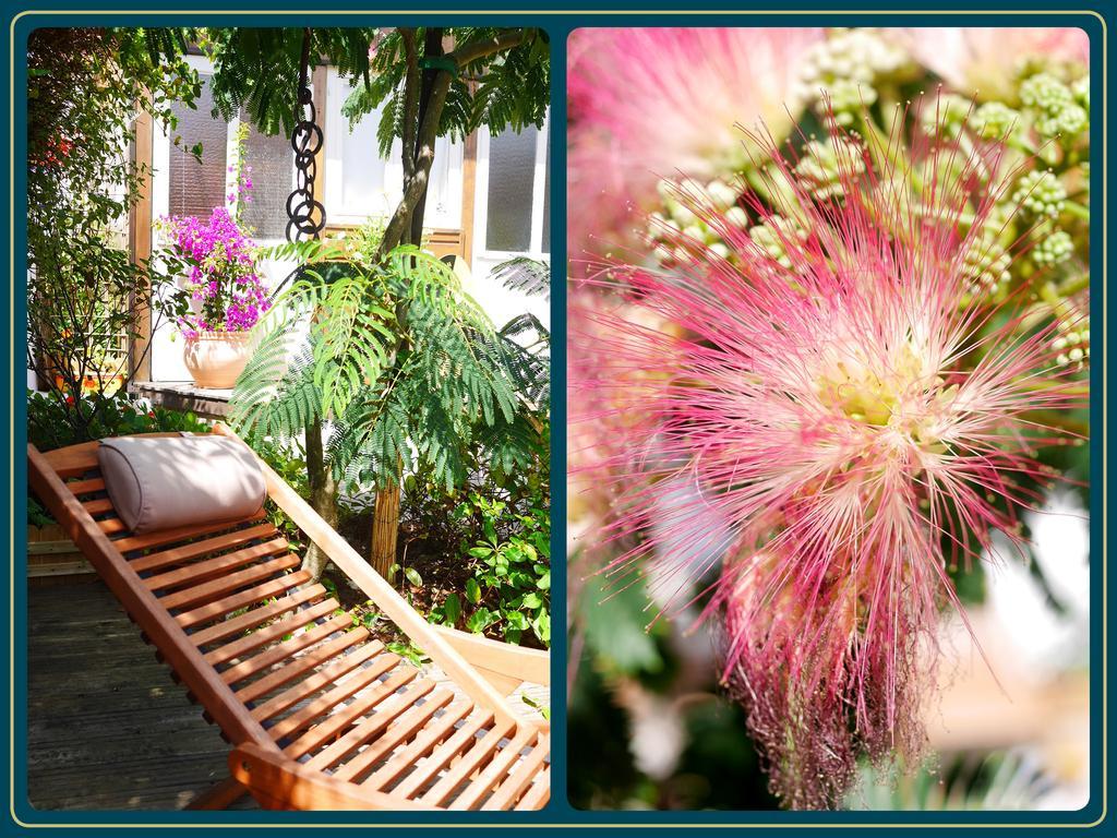 Les Embruns Apartment มีมีซ็อง-ปลาจ ห้อง รูปภาพ